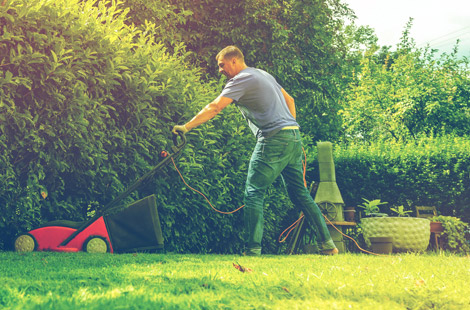 Entretien espaces verts